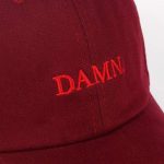 DAMN Cap