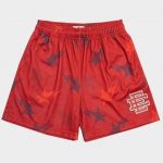 Eric Emanuel x BAPE Shorts | Red / L