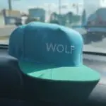 Tyler The Creator Wolf Cap photo review